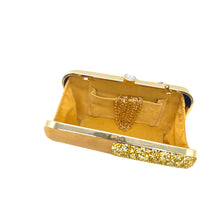 Load image into Gallery viewer, Designer C shape Front Double Color Stone Frame Clutch - myStore20202019