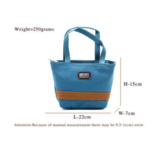 Load image into Gallery viewer, Double Zip Single Stripe Ladies Mini HandBag - myStore20202019