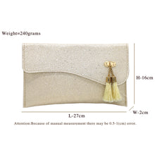Load image into Gallery viewer, Envelope Double Jhumka Fitting Ladies Clutch - myStore20202019