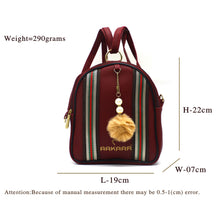 Load image into Gallery viewer, Two In One Double Stripe Double Zip Girls BackPack - myStore20202019