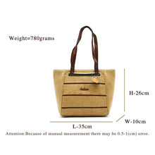 Load image into Gallery viewer, Double Zip Frame Mat Finish Ladies HandBag - myStore20202019
