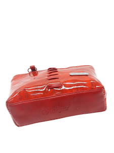 Double Zip Shine Finish Mini Hand Bag - myStore20202019