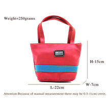 Load image into Gallery viewer, Double Zip Single Stripe Ladies Mini HandBag - myStore20202019
