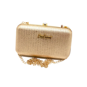 Metal Frame Shimmer Aakaar Fitting Clutch - myStore20202019