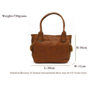 Single Zip Plain Double Color Ladies HandBag - myStore20202019